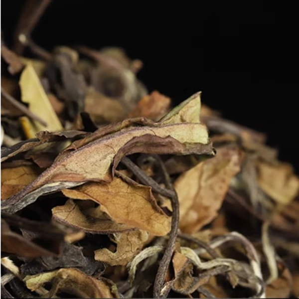 2021年福鼎白茶磻溪高山老白茶明前闷泡煮蜜甜陈年老寿眉茶1500克