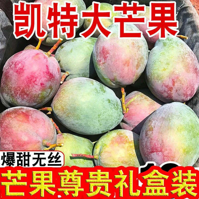 【精品】正宗攀枝花芒果凯特芒果新鲜水果即食直发非大青芒贵妃芒