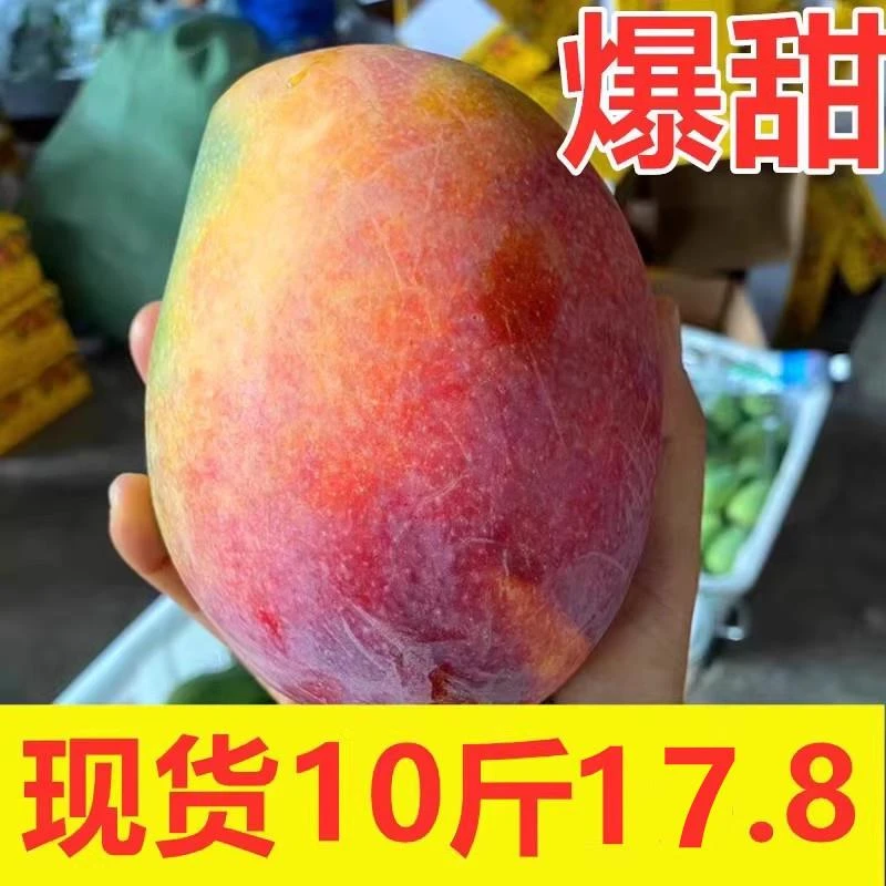 四川攀枝花凯特芒果新鲜10斤水果整箱当季包邮应季大芒果凯特芒1