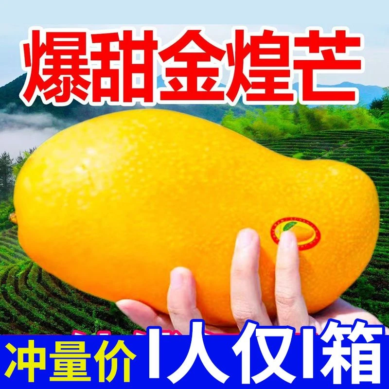 特价海南大金煌芒果水仙芒甜心芒当季新鲜热带水果大青芒整箱1克
