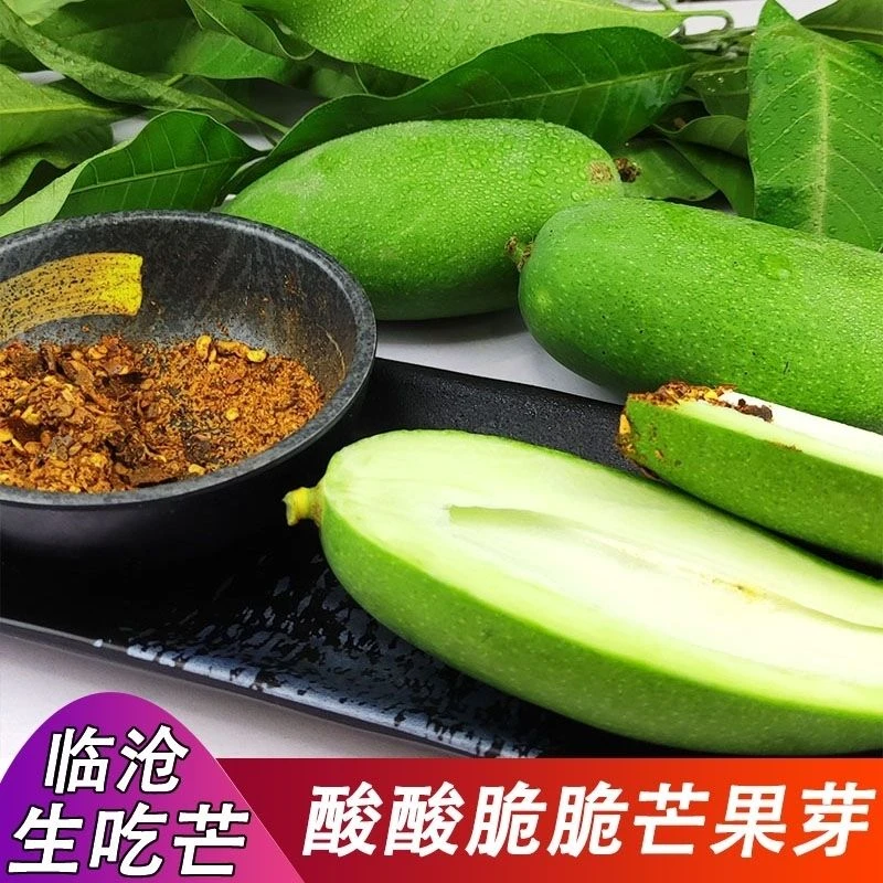 生吃酸脆芒果云南临沧特产新鲜现摘水果青芒果孕妇酸果农副产品酸