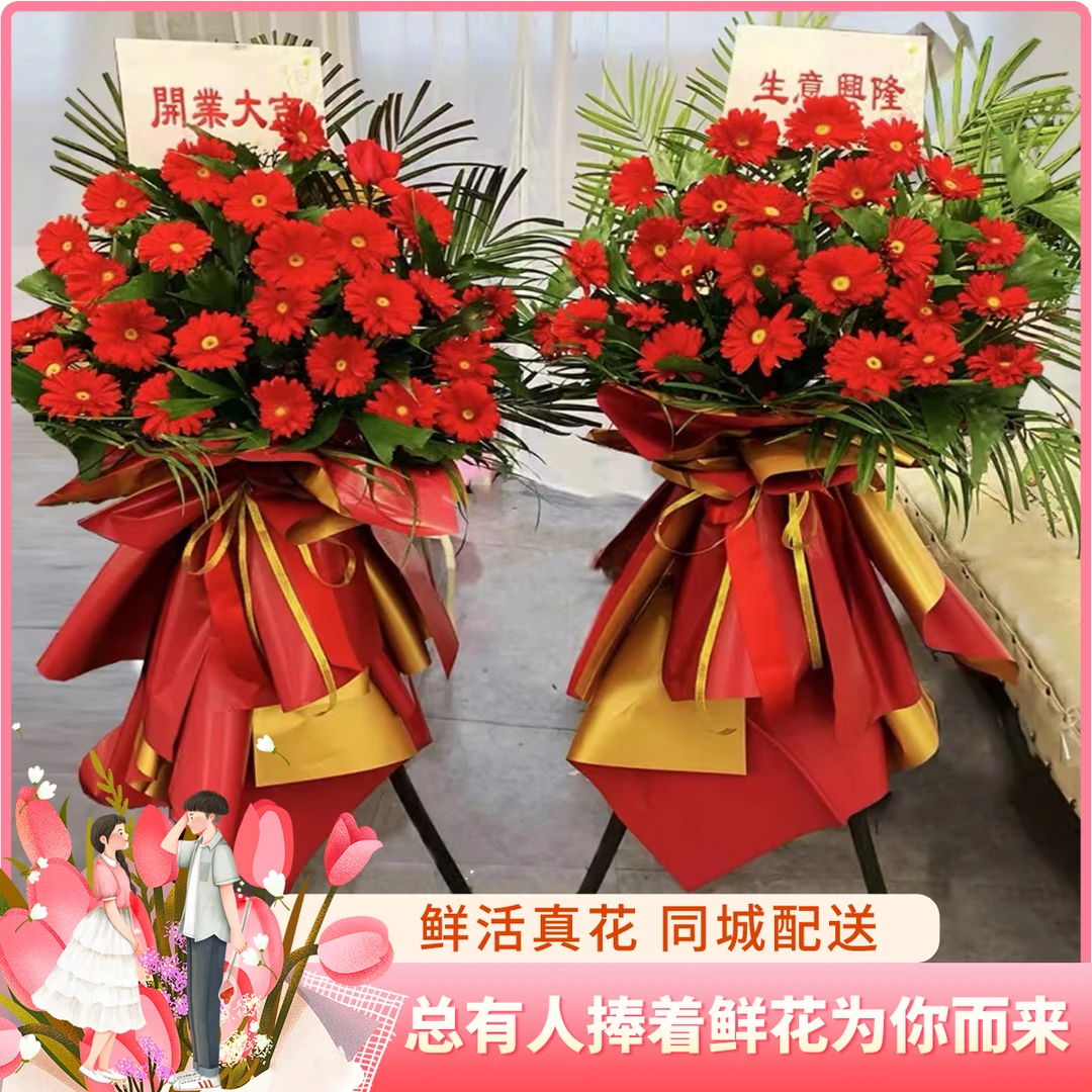 浪漫七夕礼【大吉大利赚他一个亿】1个红色非洲菊开业花篮同城花店送朋友鲜花小时达同城配送鲜花店开业花束