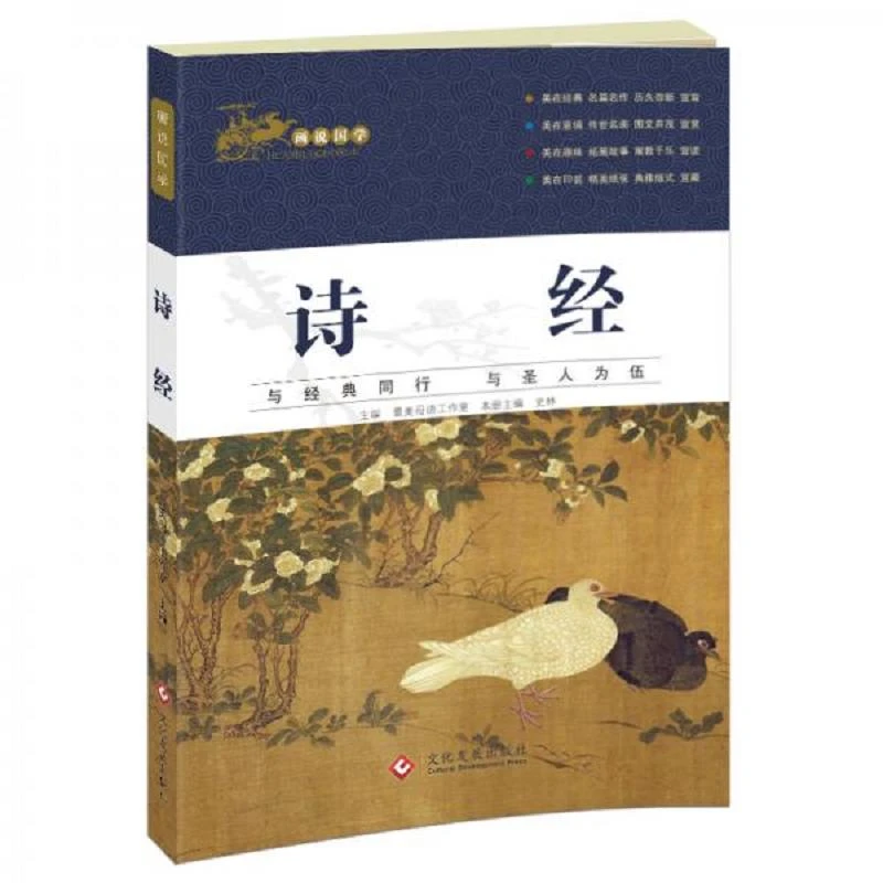 画说国学诗经 二手95新