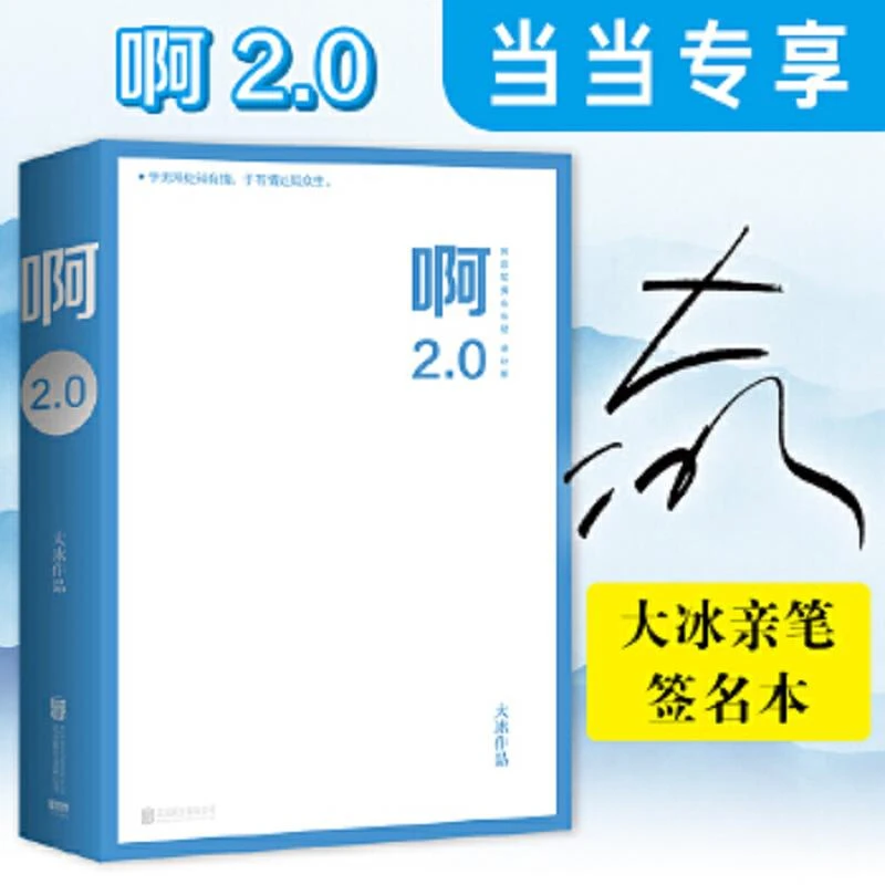啊2.0 二手95新大冰