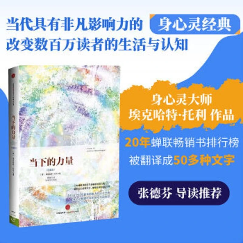 当下的力量  二手95新