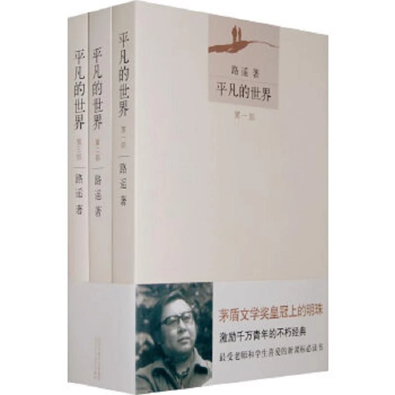 平凡的世界 二手95新