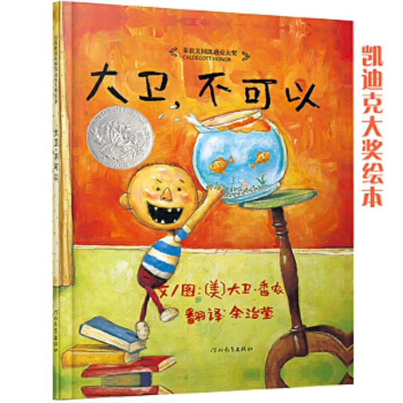 大卫,不可以  二手95新