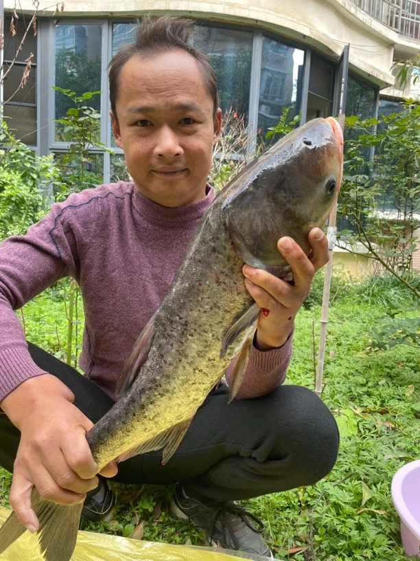 高山水库无污染麻链顺丰冷链包邮