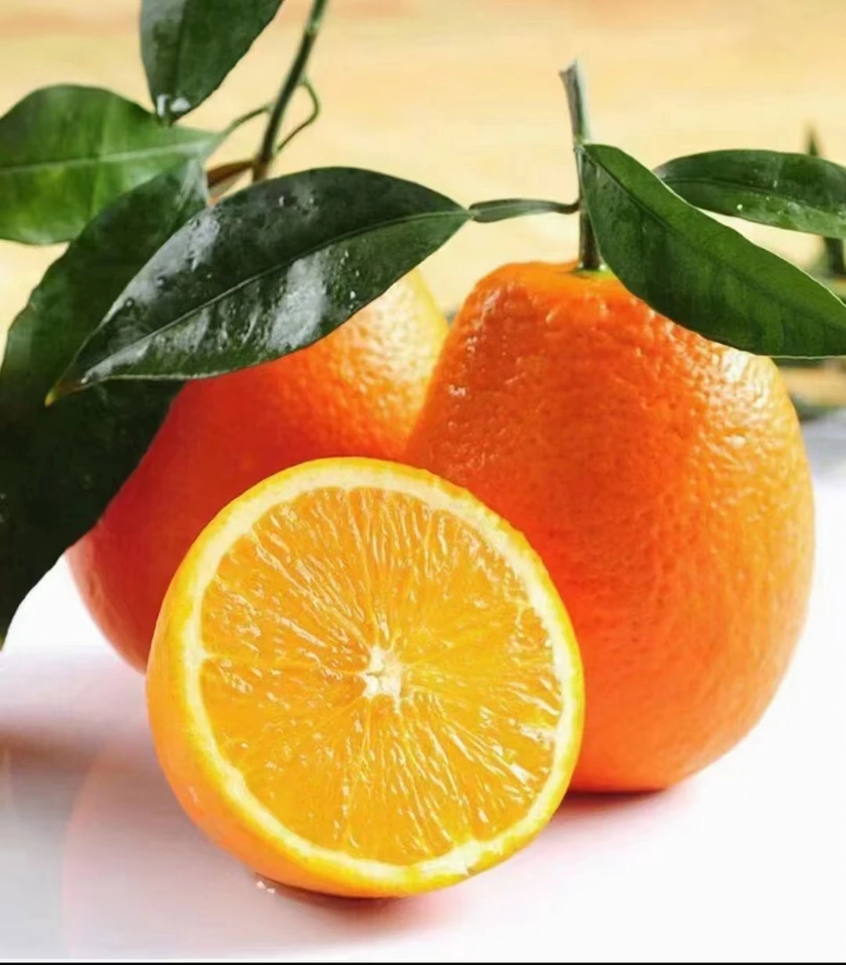 高山脐橙香甜纽荷尔大果秭归新鲜水果天然甜橙细腻皮薄酸甜快递