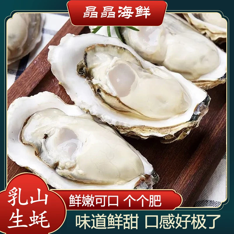 【生蚝】生蚝新鲜发货鲜甜无比 奶香气十足