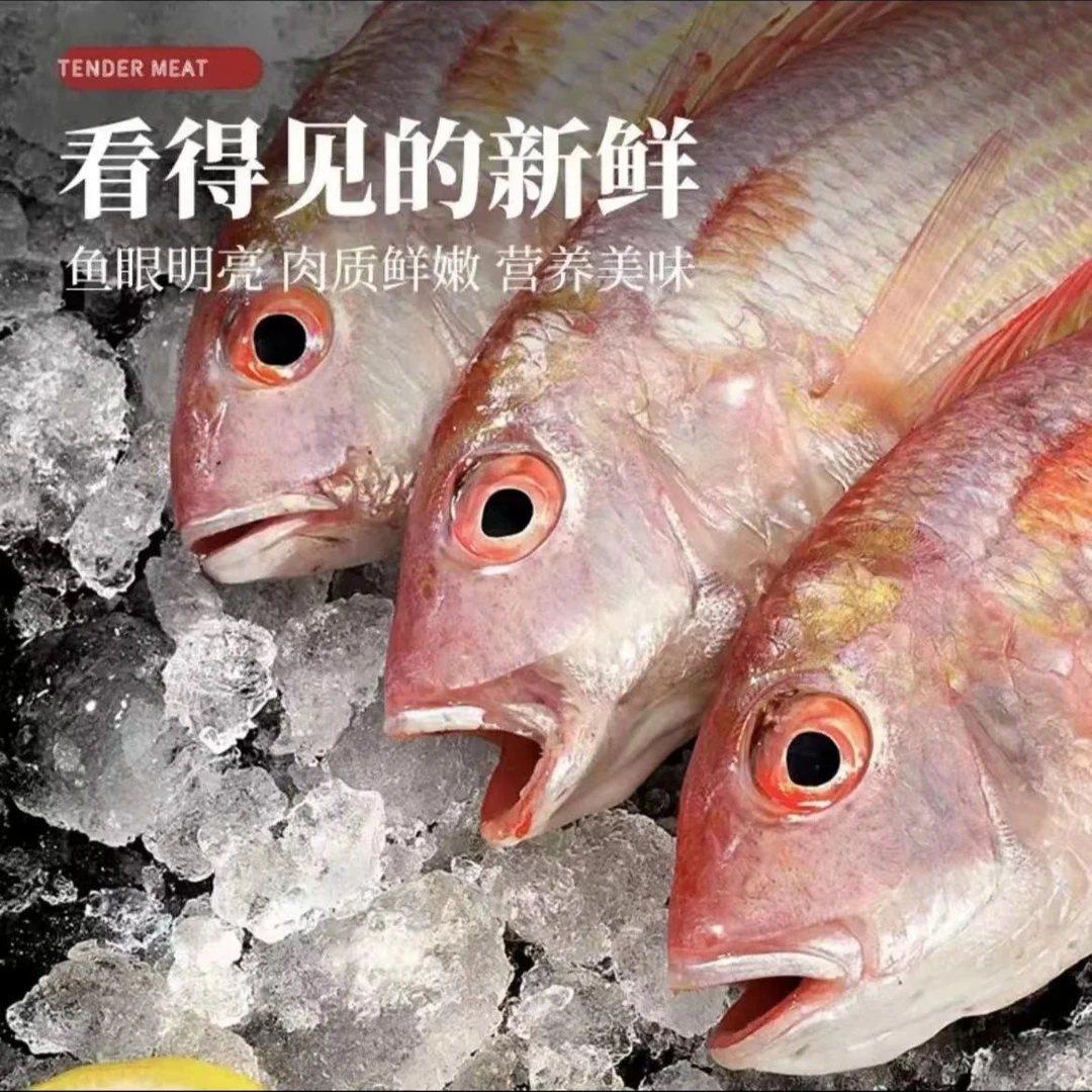 【金线鱼】野生海捕肉质鲜嫩新鲜捕捞