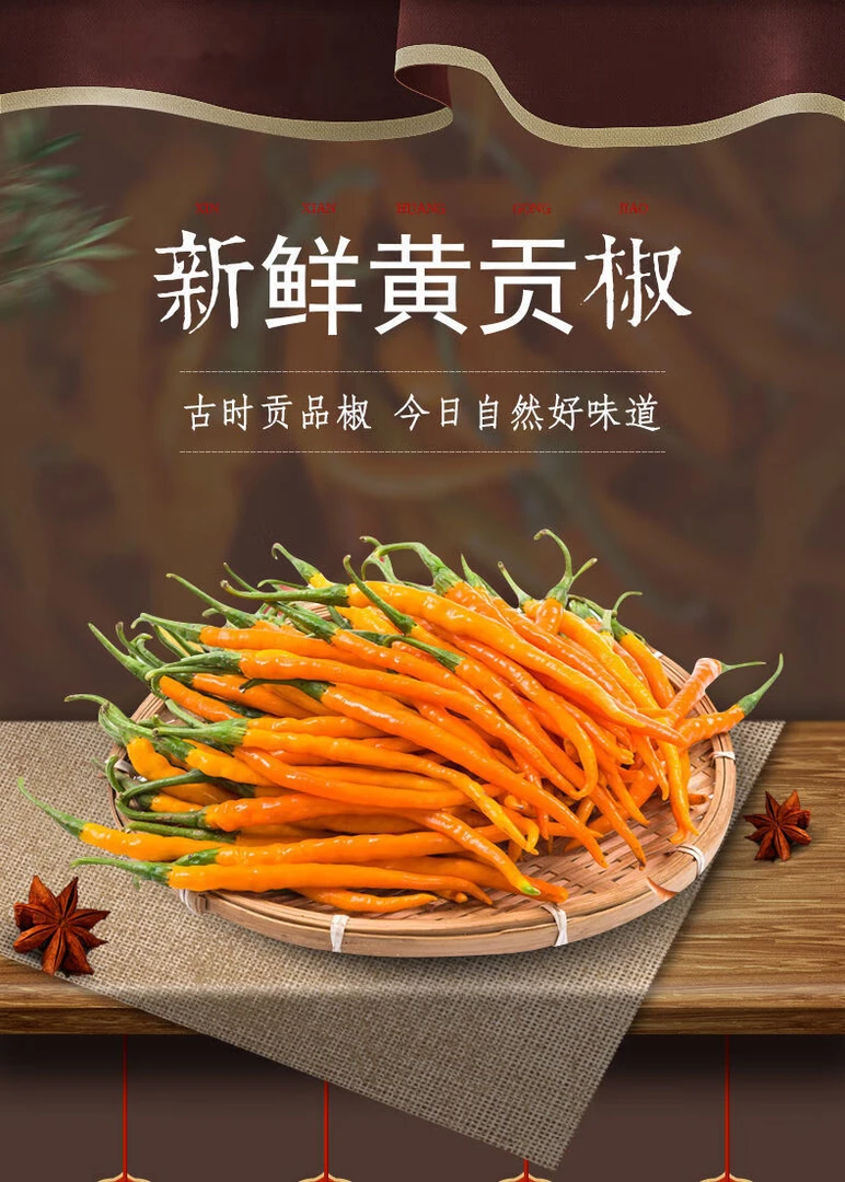 湖南特产土菜之魂衡东三樟黄贡椒基地新鲜三樟黄贡椒