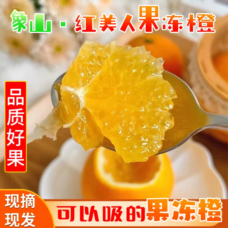 【象山定塘海叔家庭农场】30年老树红美人清香蜜甜无籽无渣新鲜上市