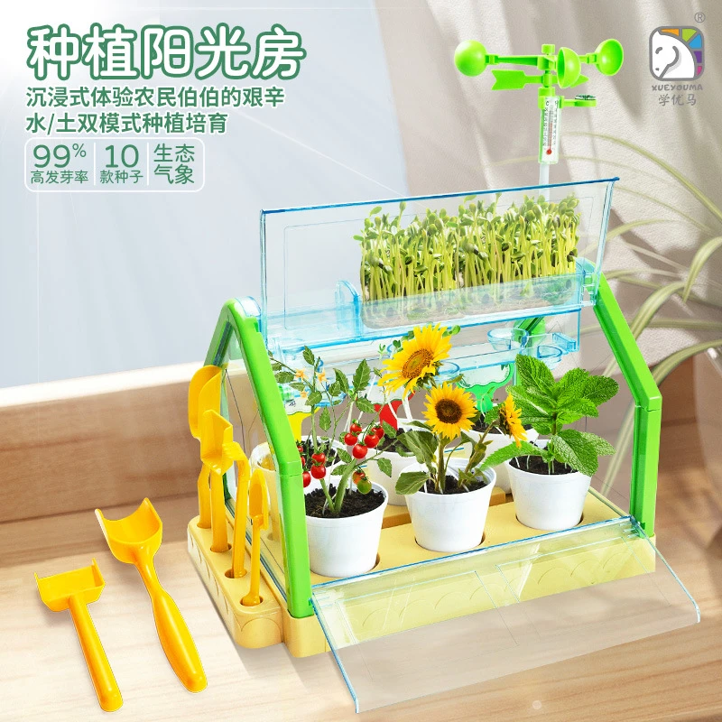 阳光花房种植儿童种菜玩具生物科学实验盆栽幼儿亲子手工植物培养