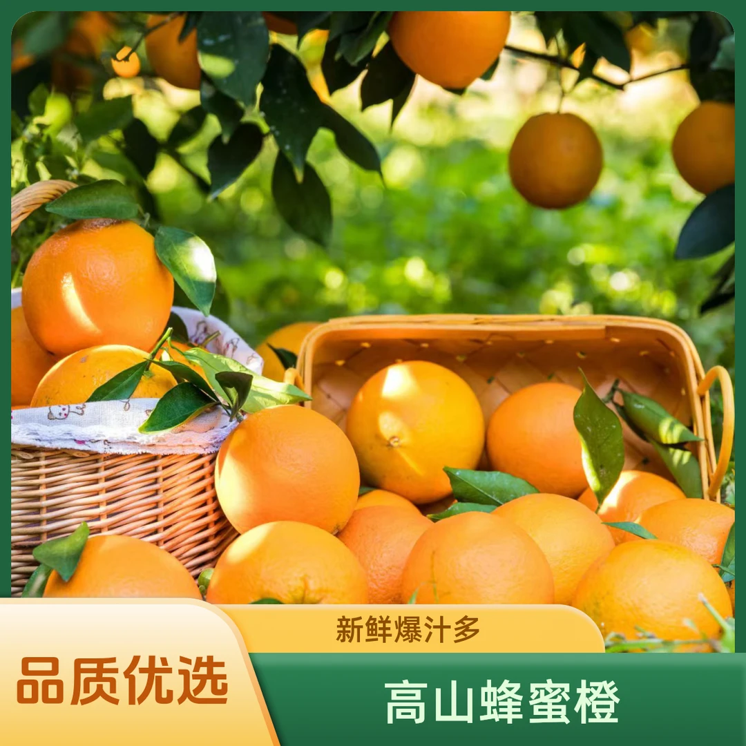 【大小果混发4.5斤】正宗贵州高山蜂蜜橙当季水果整箱新鲜爆汁橙子