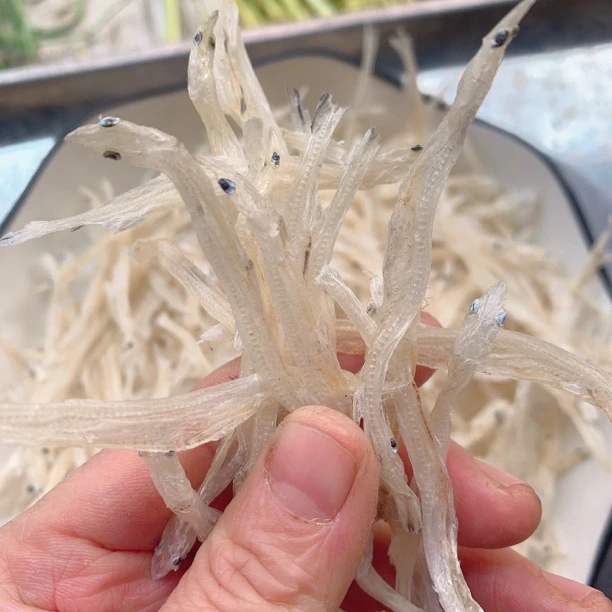 安徽安庆宿松土特产中号淡水银鱼，炖汤佳品500g
