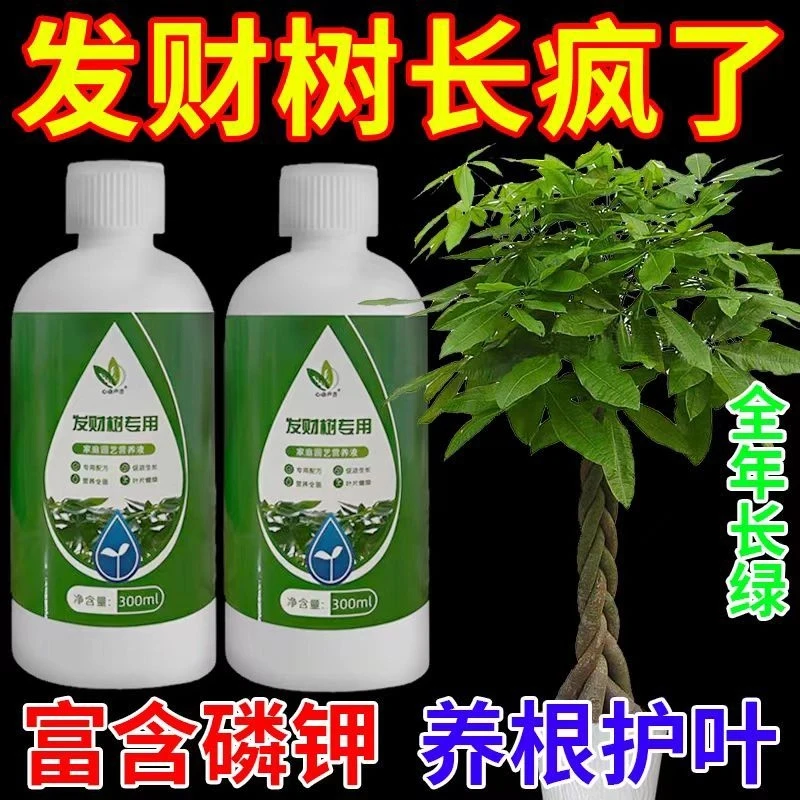 发财树绿植富贵竹通用型植物养花生根幸福树绿植营养液植物通用型