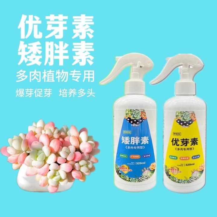 多肉爆芽素通用型多肉优雅素多肉植物优芽素盆栽花肥料营养液家庭