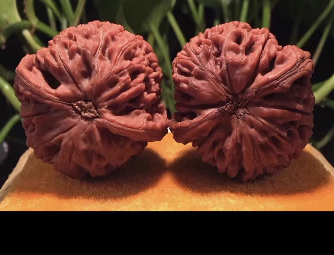 文玩核桃直播间链接