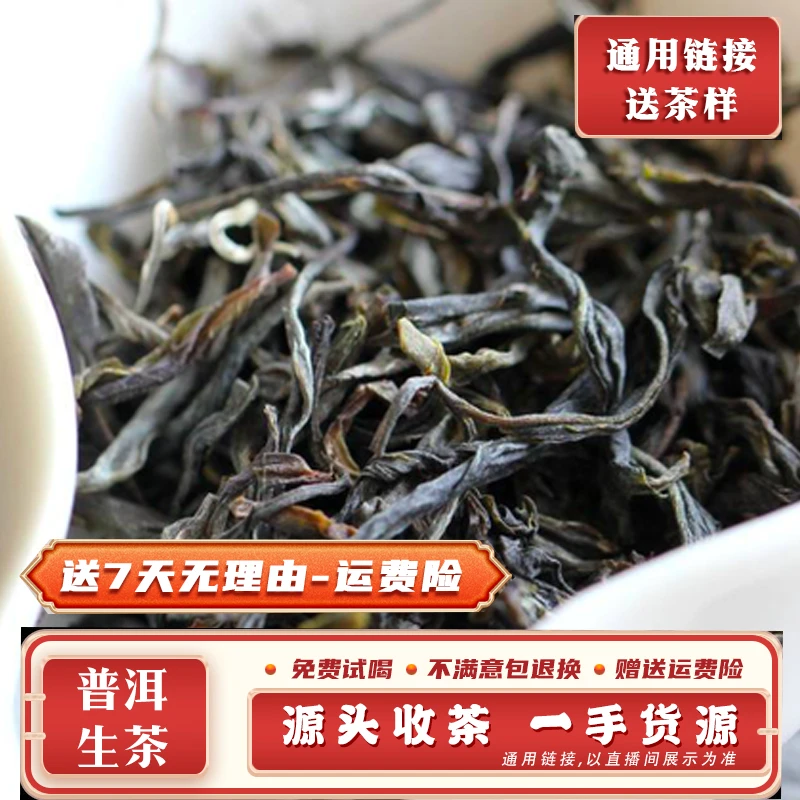 普洱茶26号1公斤2024年临沧南美古树生散茶带茶样MK2183