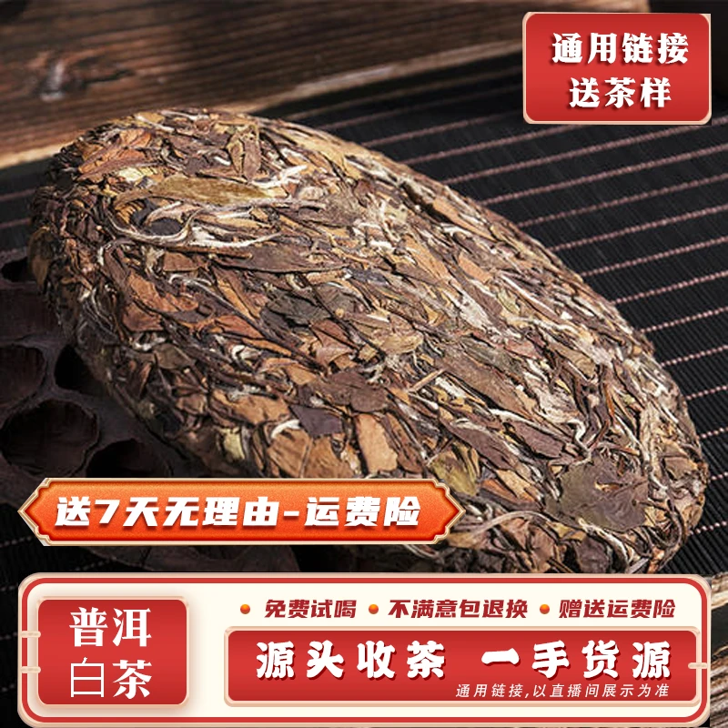 普洱茶1210号200g/饼2023年双江小勐峨古树白茶饼带茶样MK2860