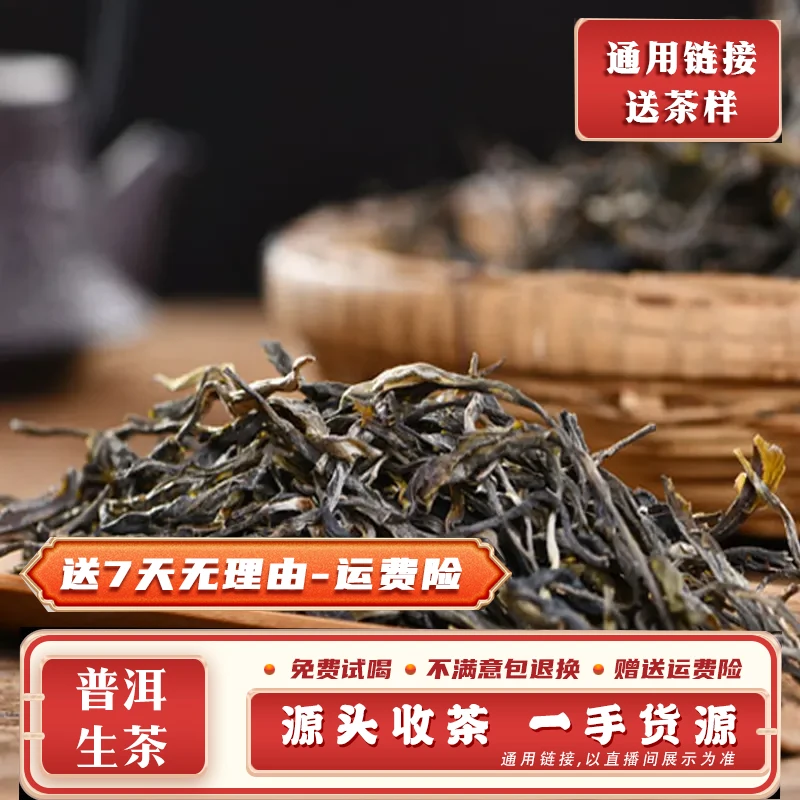 普洱茶708号250g2024年勐库小荒田古树混采生散茶带茶样MK1257