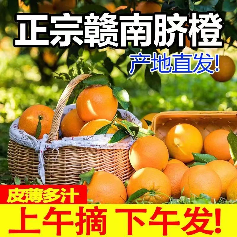 [ 正宗]赣南脐橙 5-10斤本地现摘现发新鲜酸甜皮薄香甜细腻