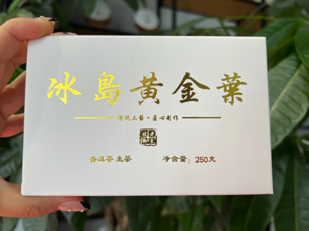 普洱茶【李超的茶】冰岛·老寨黄金叶250克砖2023头春 到手2砖