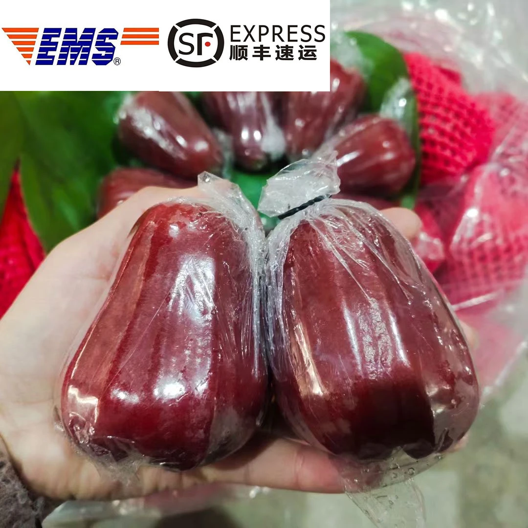 【顺丰/EMS】泰国黑金刚莲雾清甜汁水足孕妇新鲜水果清脆爽口