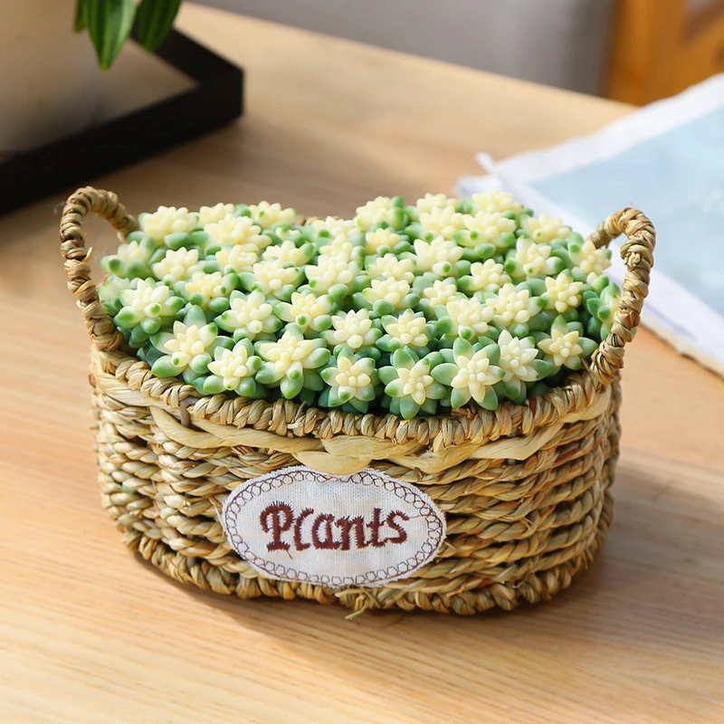 【 mumuhome 直播】雪花玉坠多肉绿植手提花篮 创意手提编织花篮