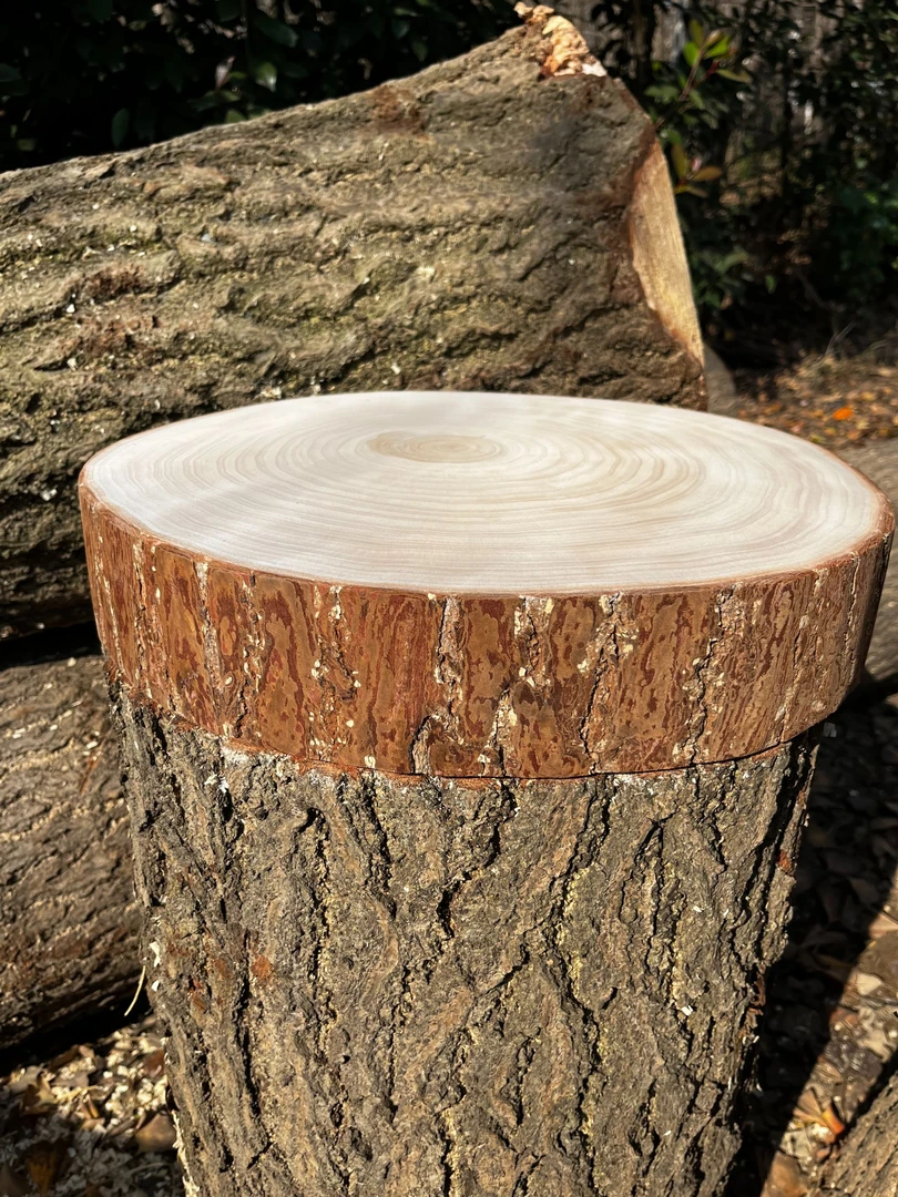 正宗银杏木砧板整木白果树切菜板圆加厚菜墩圆实木案家用商用