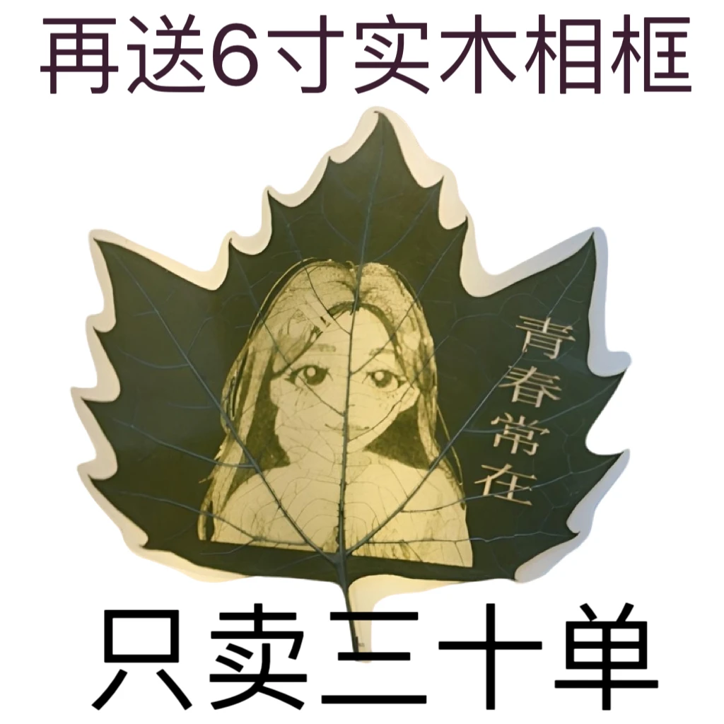 [福利品】平安树叶梧桐树叶雕刻+过塑