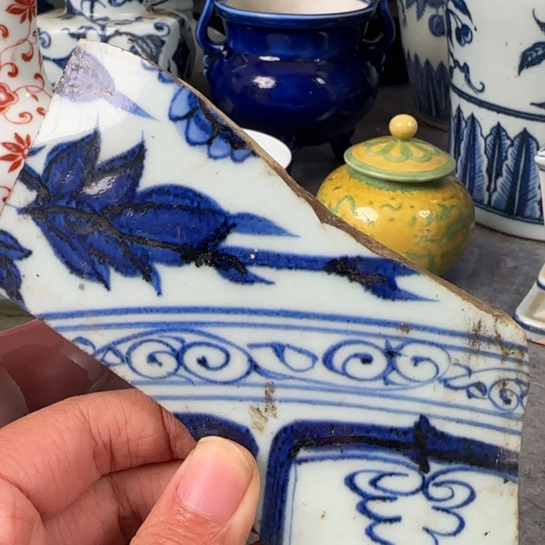 【闪购商品】瓷杯标本