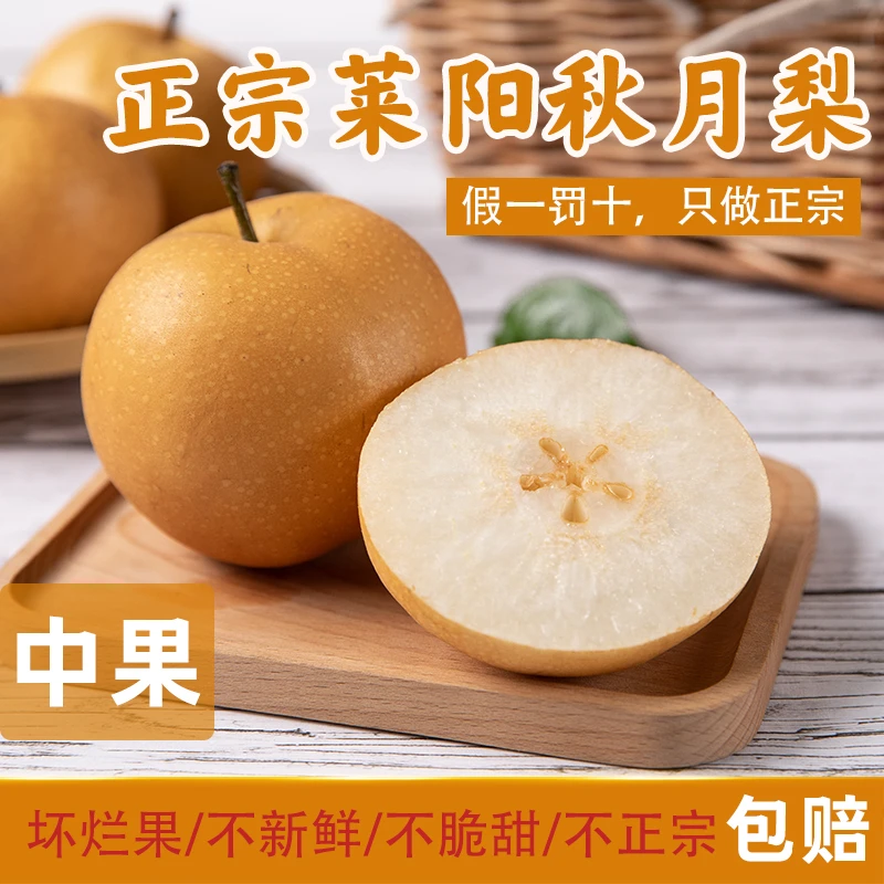 中果【山东莱阳秋月梨】子产地直销新鲜水果皮薄超甜爆汁