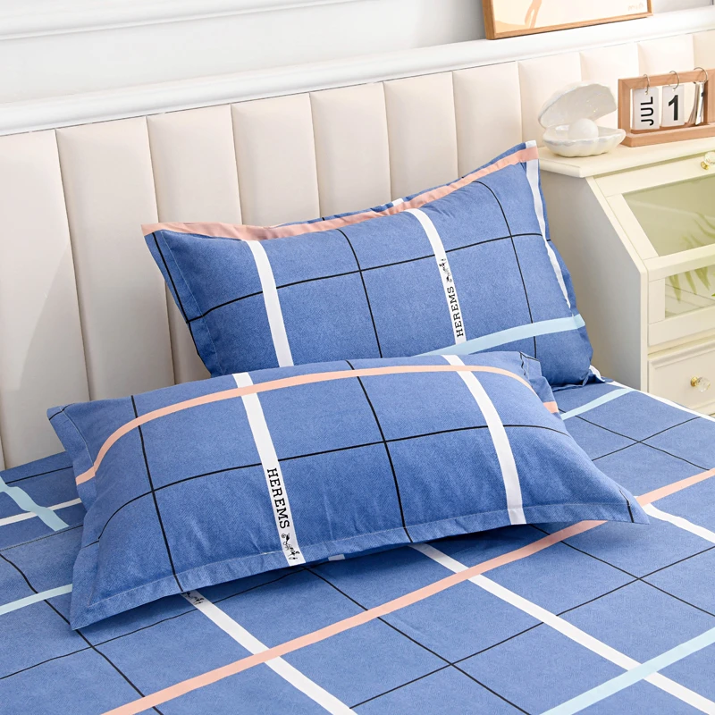 网红成人大号枕套加厚简约情侣枕头套轻奢一对装套枕学生宿舍床品