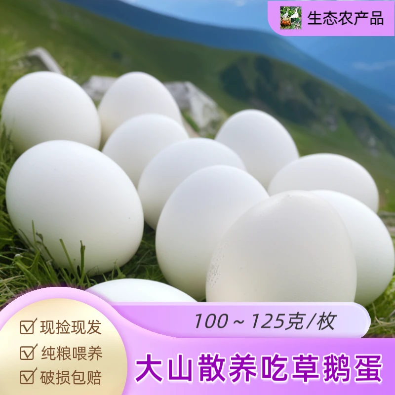 大山原生态绿色散养吃草鹅蛋 健康营养味道鲜美 现捡现发破损包赔
