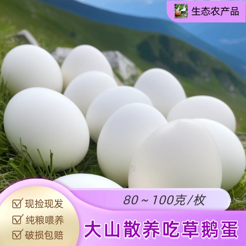 大山原生态绿色散养吃草鹅蛋 现捡现发纯粮喂养 生鲜运输破损包赔