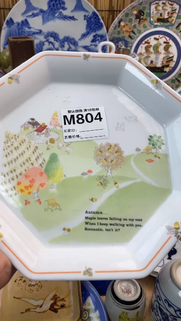 【闪购商品】日式中古no退no换默认微瑕M804