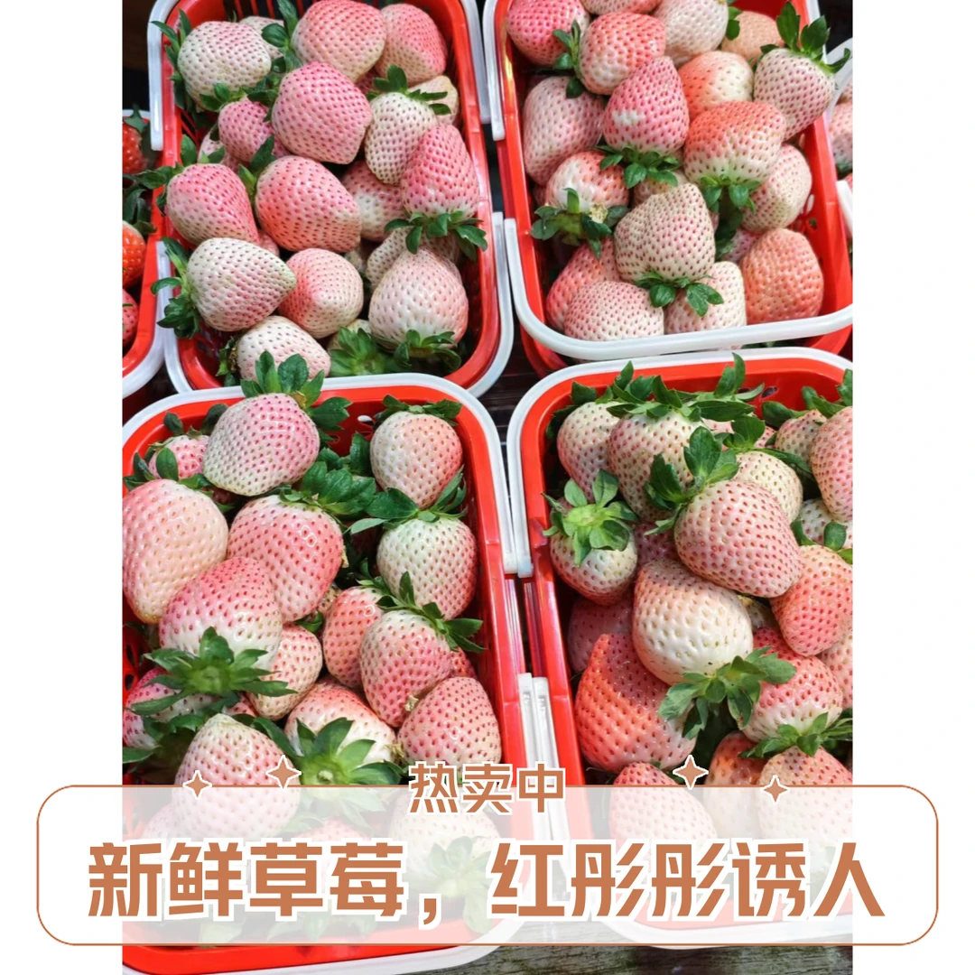 花溪本地精品粉玉草莓两斤!(粉色恋人)