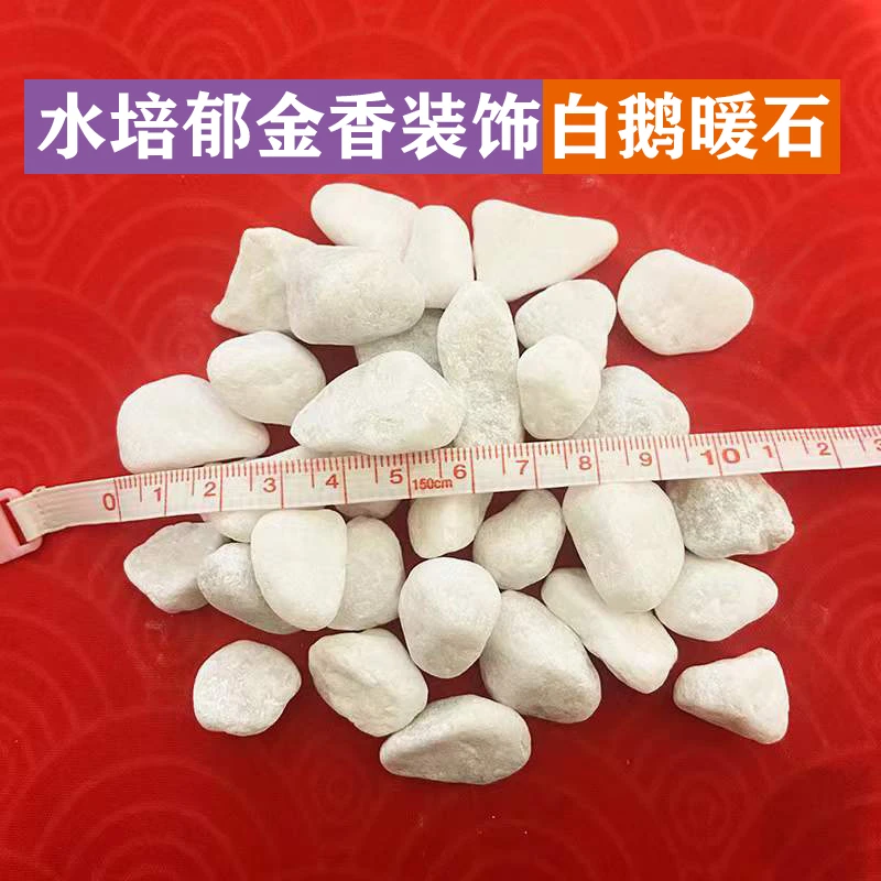 水培鹅暖石白色小石头小碎石水培郁金香百合种球垫底园艺进口石子