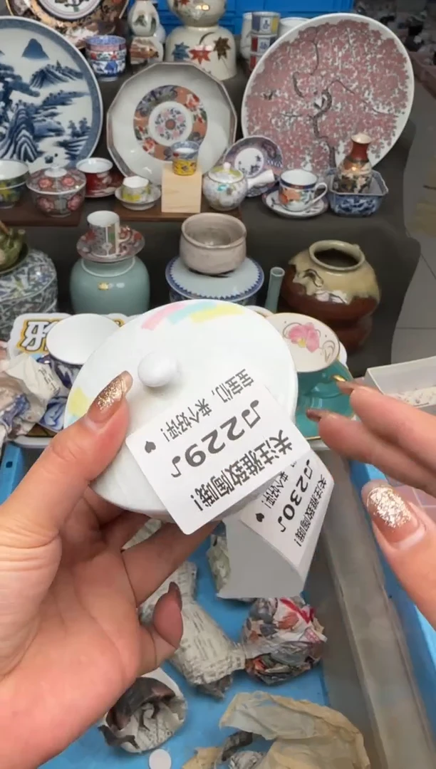 【闪购商品】密胺瓷片229