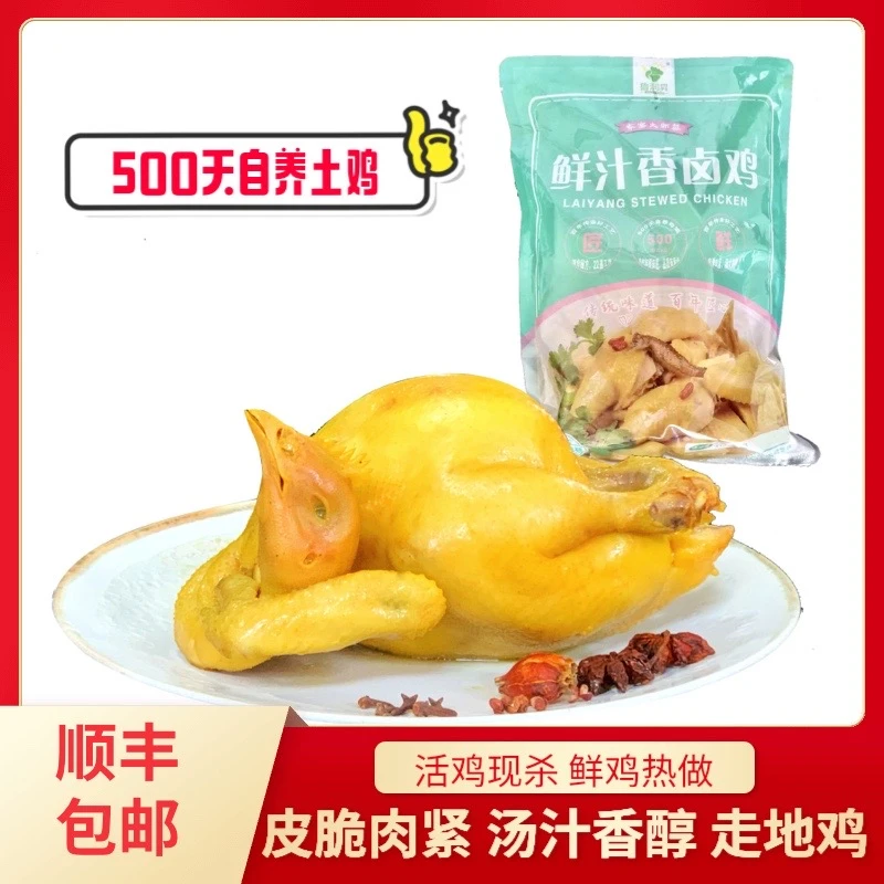 鲁润昇【鲜卤鸡】鲜汁香卤鸡 脆皮火锅鸡 整只皮弹肉紧实 汤鲜美