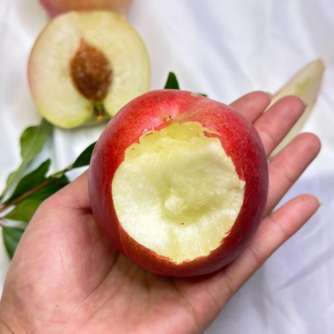 【头茬】山西运城白肉油桃新鲜采摘脆甜好吃顺丰包邮5斤新鲜水果
