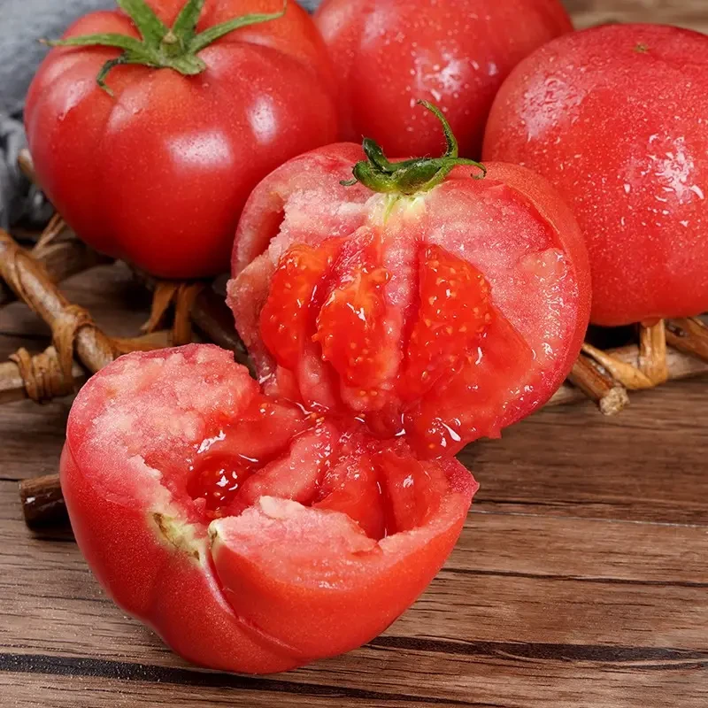 沙瓤水果西红柿新鲜大番茄普罗旺斯口感应季水果纯天然