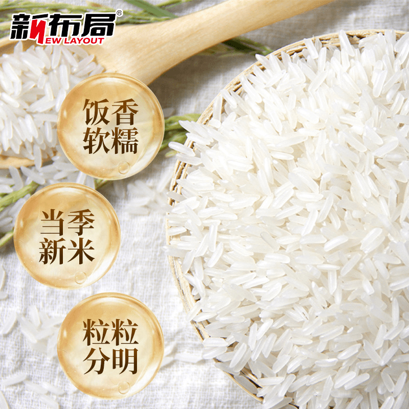 10斤20斤30斤猫牙香米丝苗长粒香米一年一季农家南方大米厂家直发