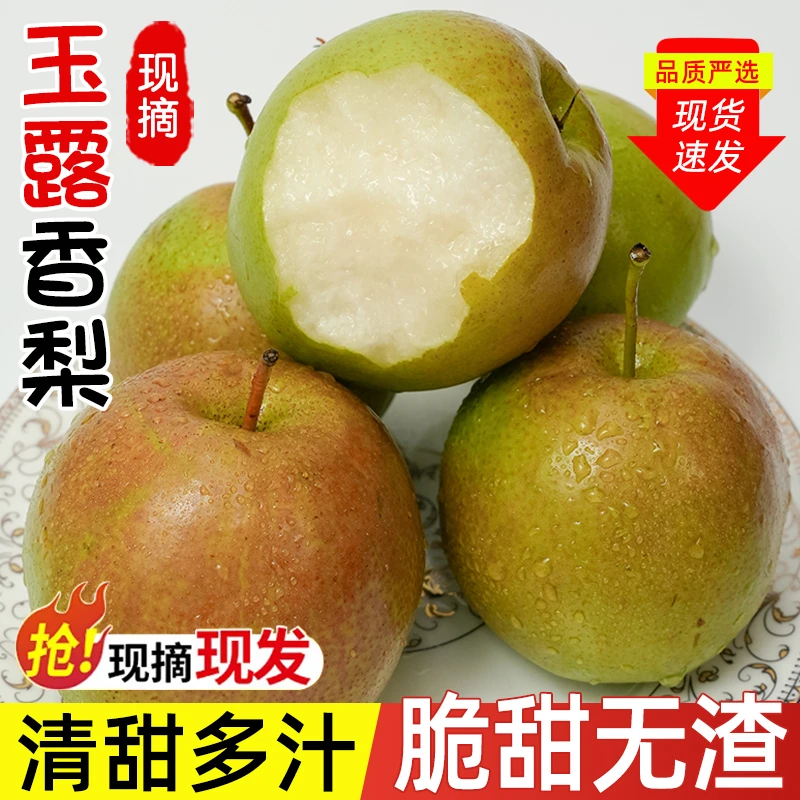 正宗玉露香梨新鲜当季水果脆甜无渣薄皮梨子整箱包邮非库尔勒