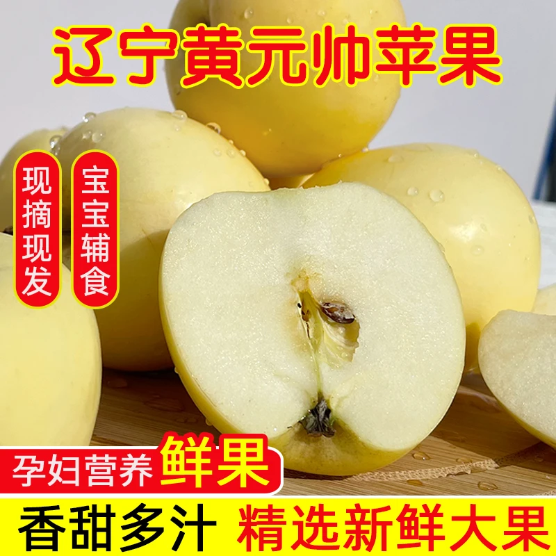 黄元帅苹果新鲜水果粉面软糯香甜老人婴儿辅食刮泥黄金帅特产