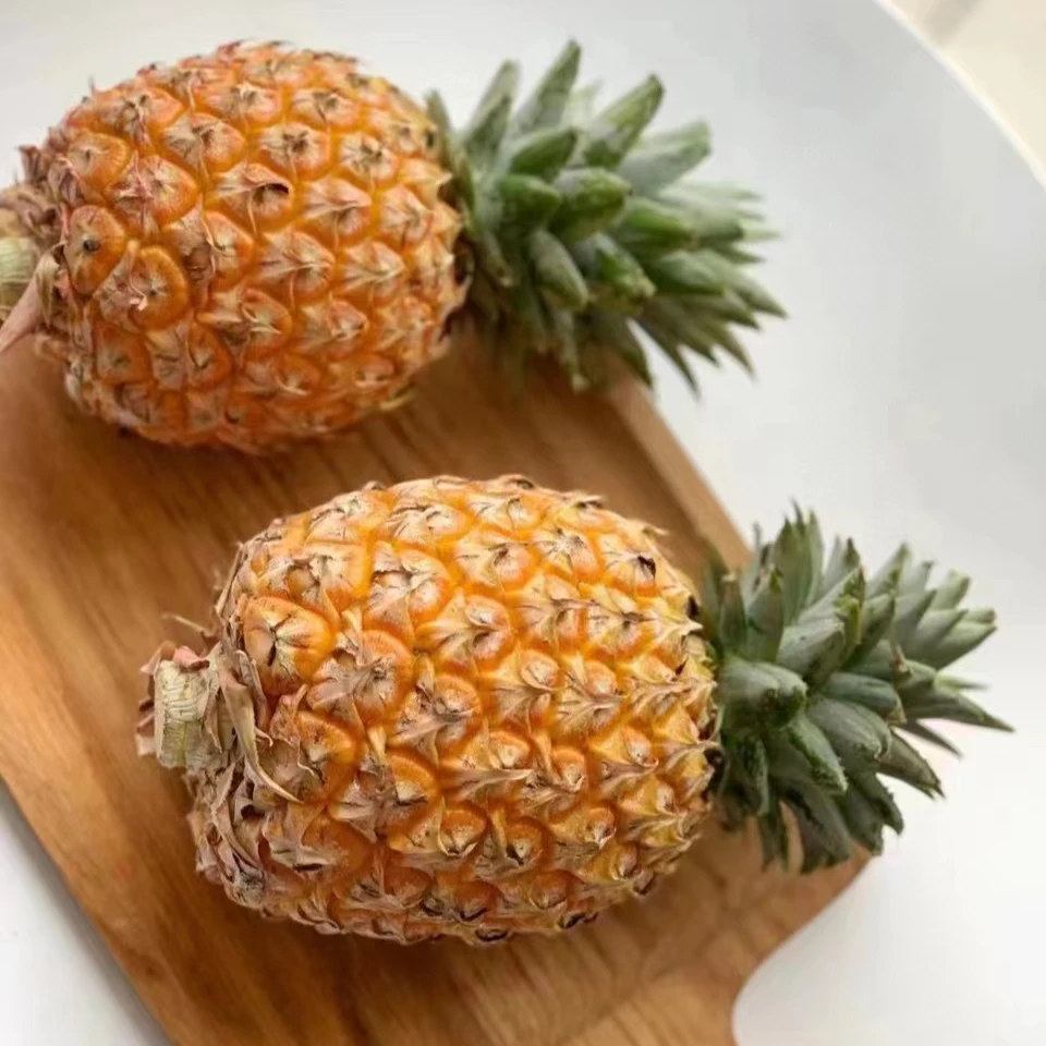 海南凤梨正宗芒果凤梨香甜菠萝台农23号当季热带孕妇新鲜水果