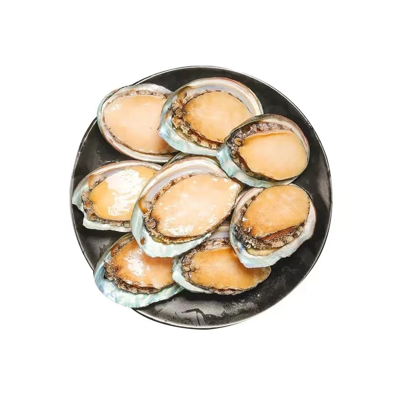 【赤小峰】大号鲍鱼1个