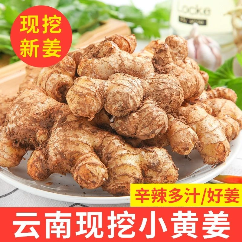 【当季特卖】云南高山老姜沙姜黄姜当地直销0.5-9斤坏多少赔多少